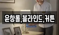 윤창롤,블라인드,커튼