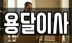 용달이사