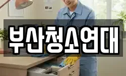 부산청소연대