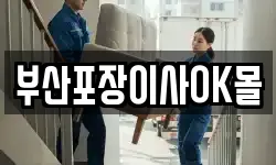 부산포장이사OK몰