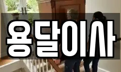 용달이사