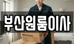 부산원룸이사