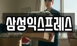삼성익스프레스