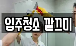 입주청소 깔끄미