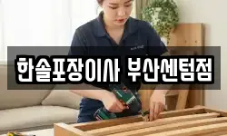 한솔포장이사 부산센텀점