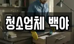 청소업체 백야