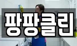 팡팡클린