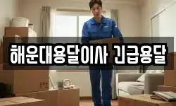 해운대용달이사 긴급용달