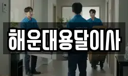 해운대용달이사