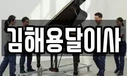 김해용달이사