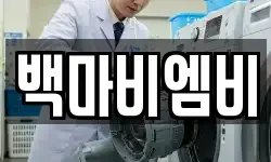 백마비엠비
