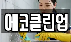에코클린업