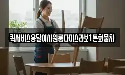 퀵서비스용달이사원룸다마스라보1톤화물차