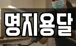 명지용달