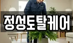 정성토탈케어