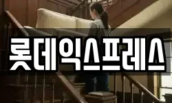 롯데익스프레스