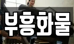 부흥화물