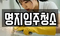 명지입주청소