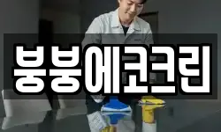 붕붕에코크린