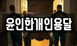 윤인한개인용달