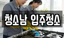 청소남 입주청소