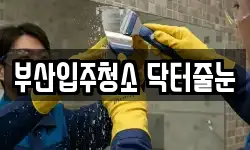 부산입주청소 닥터줄눈