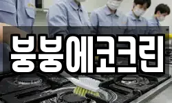 붕붕에코크린