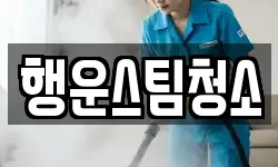 행운스팀청소