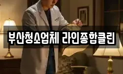 부산 강서구 신호동 청소,입주청소,사무실청소,에어컨청소