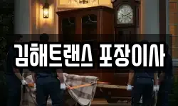 김해트랜스 포장이사