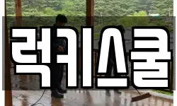 부산 강서구 화전동 청소,입주청소,사무실청소,에어컨청소