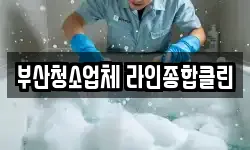 부산청소업체 라인종합클린