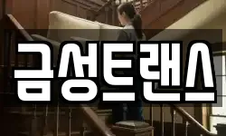 금성트랜스