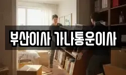 부산 금정구 구서동 이사,용달이사,포장이사,원룸이사,보관이사