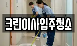 크린이사입주청소