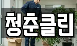 청춘클린