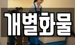 개별화물