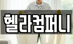 헬라컴퍼니