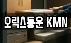 오릭스통운 KMN