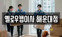 옐로우캡이사 해운대점