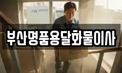부산명품용달화물이사