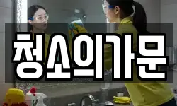 청소의가문
