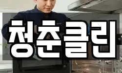 청춘클린