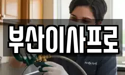 부산이사프로