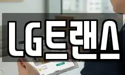 LG트랜스