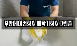 부산에어컨청소 세탁기청소 그린존