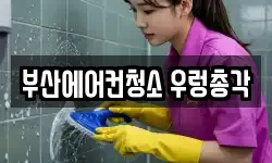 부산 기장군 청소,입주청소,사무실청소,에어컨청소