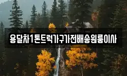 용달차1톤트럭가구가전배송원룸이사