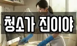청소가 진이야