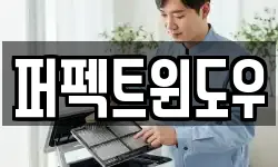 퍼펙트윈도우